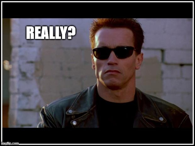 Terminator doubt | REALLY? | image tagged in arnold schwarzenegger terminator,doubt,skeptical | made w/ Imgflip meme maker
