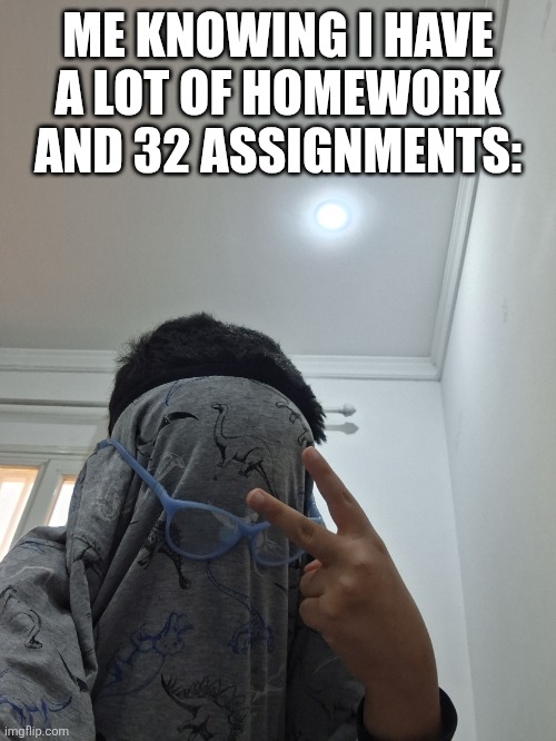 ME KNOWING I HAVE A LOT OF HOMEWORK AND 32 ASSIGNMENTS: | image tagged in life is good | made w/ Imgflip meme maker