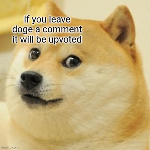Doge | If you leave doge a comment it will be upvoted | image tagged in memes,doge | made w/ Imgflip meme maker