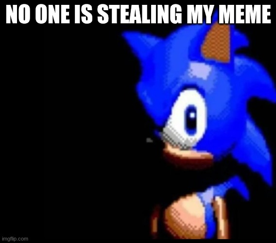Sonic stares | NO ONE IS STEALING MY MEME | image tagged in sonic stares | made w/ Imgflip meme maker