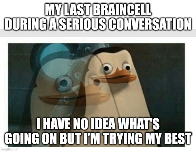 My last braincell during a serious conversation | MY LAST BRAINCELL DURING A SERIOUS CONVERSATION; I HAVE NO IDEA WHAT'S GOING ON BUT I’M TRYING MY BEST | image tagged in brain cells | made w/ Imgflip meme maker