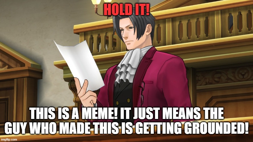 Edgeworth reading | HOLD IT! THIS IS A MEME! IT JUST MEANS THE GUY WHO MADE THIS IS GETTING GROUNDED! | image tagged in edgeworth reading | made w/ Imgflip meme maker