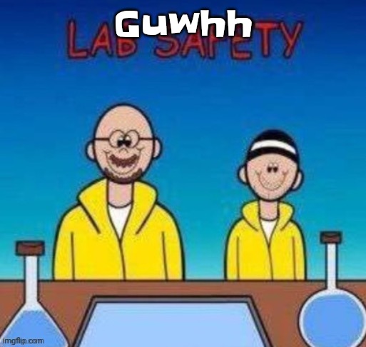 Lab safety with Walter White and Jesse Pinkman | Guwhh | image tagged in lab safety with walter white and jesse pinkman | made w/ Imgflip meme maker