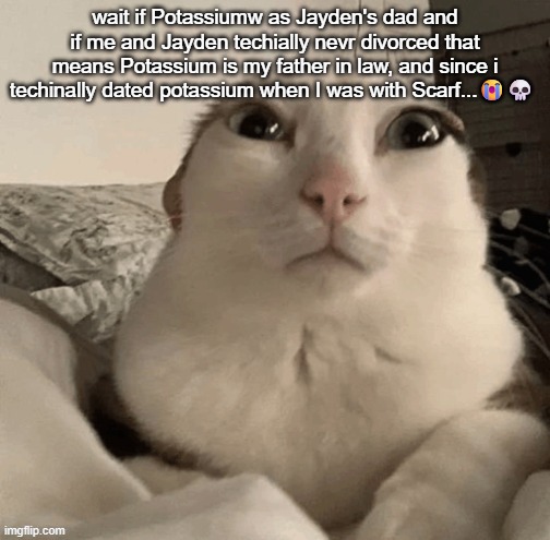 goober | wait if Potassiumw as Jayden's dad and if me and Jayden techially nevr divorced that means Potassium is my father in law, and since i techinally dated potassium when I was with Scarf...😭💀 | image tagged in goober | made w/ Imgflip meme maker