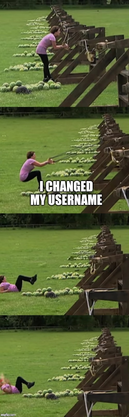 Watermelon face palm | I CHANGED MY USERNAME | image tagged in watermelon face palm | made w/ Imgflip meme maker