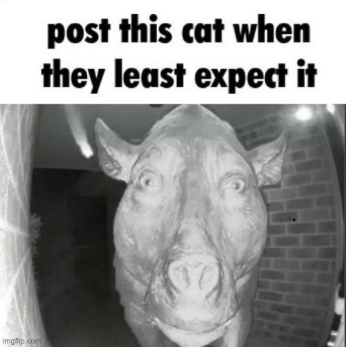 image tagged in post him | made w/ Imgflip meme maker