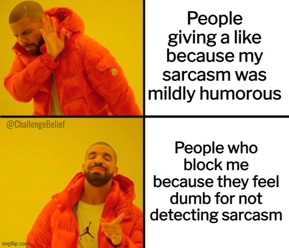 Sarcasm not detected | People giving a like because my sarcasm was mildly humorous; @ChallengeBelief; People who block me because they feel dumb for not detecting sarcasm | image tagged in drake meme | made w/ Imgflip meme maker
