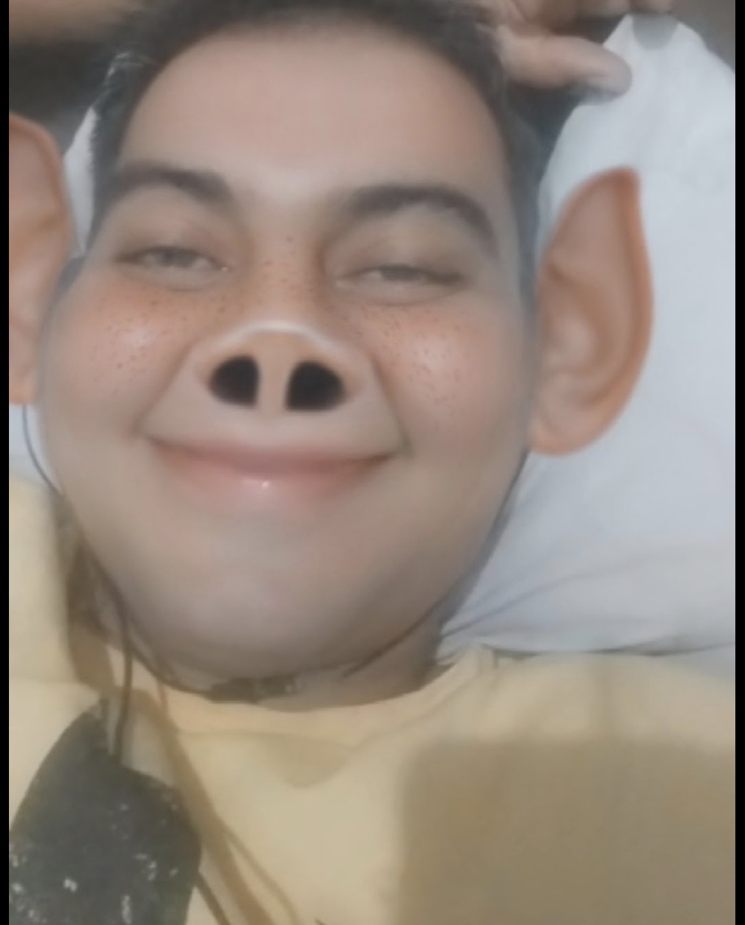pigasur Blank Meme Template