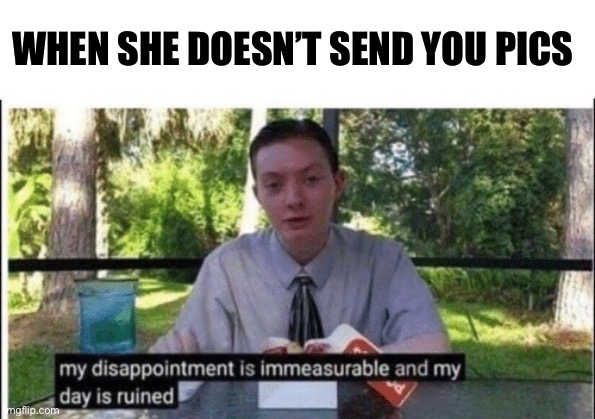 My dissapointment is immeasurable and my day is ruined | WHEN SHE DOESN’T SEND YOU PICS | image tagged in my dissapointment is immeasurable and my day is ruined | made w/ Imgflip meme maker