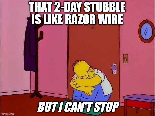sad homer | THAT 2-DAY STUBBLE IS LIKE RAZOR WIRE BUT I CAN'T STOP | image tagged in sad homer | made w/ Imgflip meme maker
