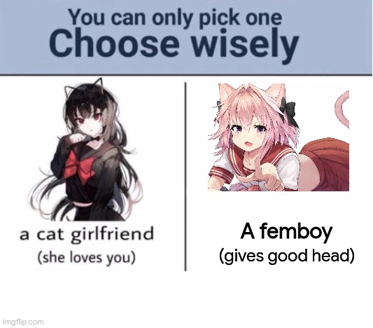 Choose wisely | A femboy; (gives good head) | image tagged in choose wisely | made w/ Imgflip meme maker
