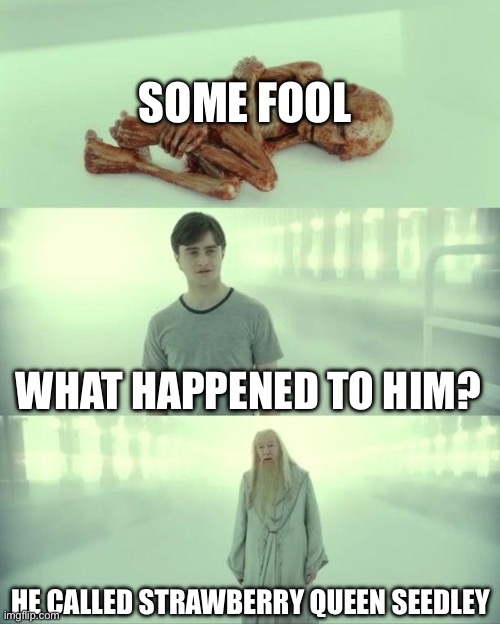 Whoever calls me Seedley Shall be Banished | SOME FOOL; WHAT HAPPENED TO HIM? HE CALLED STRAWBERRY QUEEN SEEDLEY | image tagged in dead baby voldemort / what happened to him,seedley,first name,funny,memes,fool | made w/ Imgflip meme maker