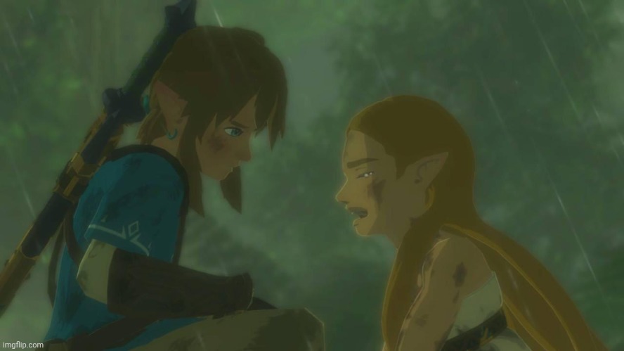 Sad Zelda | image tagged in sad zelda | made w/ Imgflip meme maker