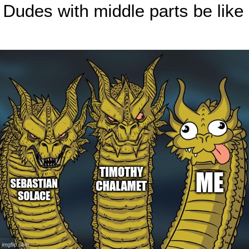 Yes ignore sebastian | Dudes with middle parts be like; TIMOTHY CHALAMET; ME; SEBASTIAN SOLACE | image tagged in three-headed dragon,memes,funny memes,oh wow are you actually reading these tags | made w/ Imgflip meme maker