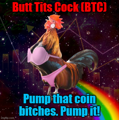 The views expressed in this meme do not necessarily reflect the opinions of transexual chickens in lingerie | Butt Tits Cock (BTC); Pump that coin bitches. Pump it! | image tagged in btc,cock,tits,butt | made w/ Imgflip meme maker