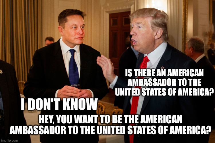IS THERE AN AMERICAN AMBASSADOR TO THE UNITED STATES OF AMERICA? I DON'T KNOW HEY, YOU WANT TO BE THE AMERICAN AMBASSADOR TO THE UNITED STAT | image tagged in trump and elon musk | made w/ Imgflip meme maker