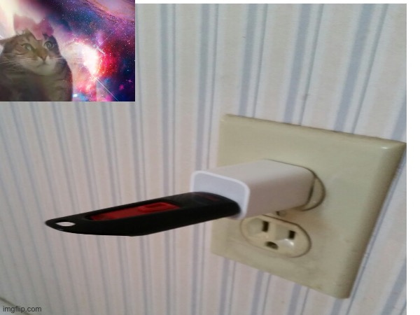 [Insert Transcendence Cat Meme] | image tagged in funny | made w/ Imgflip meme maker