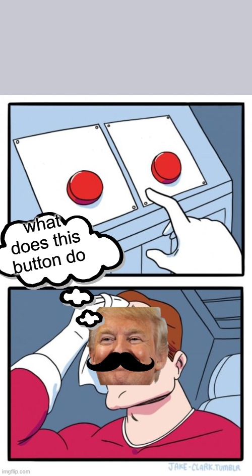Two Buttons | what does this button do | image tagged in memes,two buttons | made w/ Imgflip meme maker
