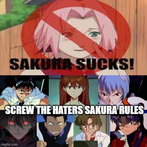 neon characters hates sakura haters | SCREW THE HATERS SAKURA RULES | image tagged in neon characters hates who,sakura,anime,neon genesis evangelion,naruto,party of haters | made w/ Imgflip meme maker