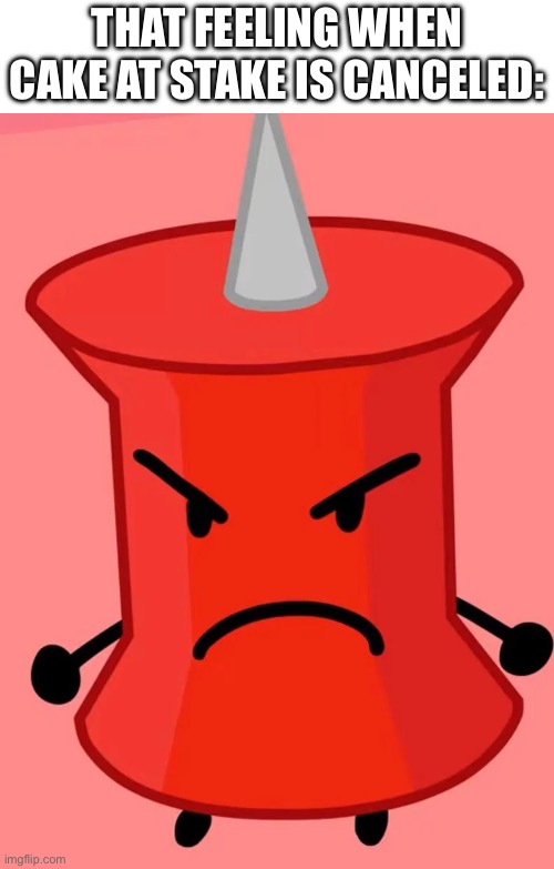 THAT FEELING WHEN CAKE AT STAKE IS CANCELED: | image tagged in mad pin | made w/ Imgflip meme maker