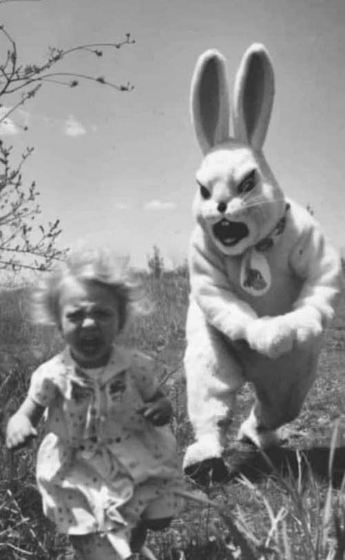 Rogue bunny seeks human child to dip into vat of chocolate. | image tagged in memes,bunny,rabbit,terror | made w/ Imgflip meme maker