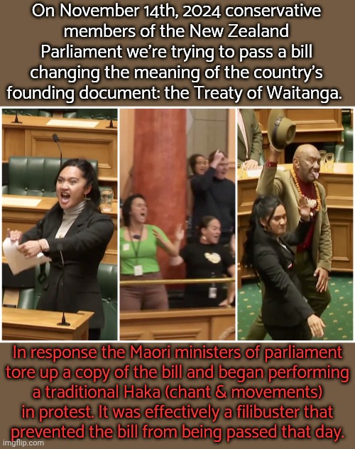 There were protests around the country as well. | On November 14th, 2024 conservative
members of the New Zealand Parliament we're trying to pass a bill changing the meaning of the country's founding document: the Treaty of Waitanga. In response the Maori ministers of parliament
tore up a copy of the bill and began performing
a traditional Haka (chant & movements) in protest. It was effectively a filibuster that
prevented the bill from being passed that day. | image tagged in parliament haka,antifa,human rights,stand up | made w/ Imgflip meme maker