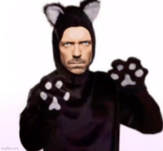image tagged in cat suit house m d | made w/ Imgflip meme maker