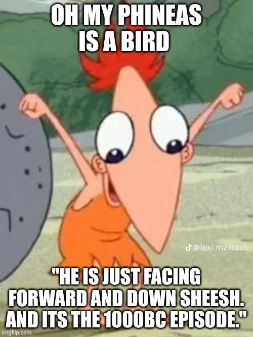 OH MY... | OH MY PHINEAS IS A BIRD; "HE IS JUST FACING FORWARD AND DOWN SHEESH. AND ITS THE 1000BC EPISODE." | image tagged in dumb | made w/ Imgflip meme maker