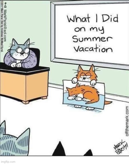 He has the exact same plans for this year’s summer vacation, too… | image tagged in cats,school,summer vacation,napping | made w/ Imgflip meme maker