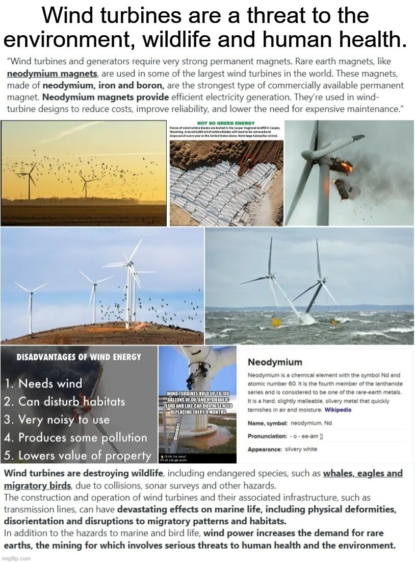 Wind turbines are a threat to the environment, wildlife and human health. | image tagged in wind turbines,environmental,threat,rare earth mining,toxic,environmental protection agency | made w/ Imgflip meme maker