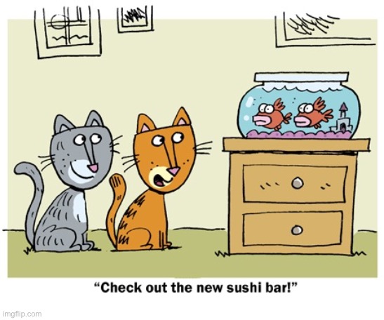 image tagged in cats,fish,sushi bar | made w/ Imgflip meme maker