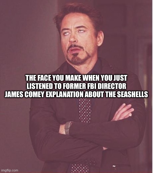 Face You Make Robert Downey Jr Meme | THE FACE YOU MAKE WHEN YOU JUST LISTENED TO FORMER FBI DIRECTOR JAMES COMEY EXPLANATION ABOUT THE SEASHELLS | image tagged in memes,face you make robert downey jr | made w/ Imgflip meme maker