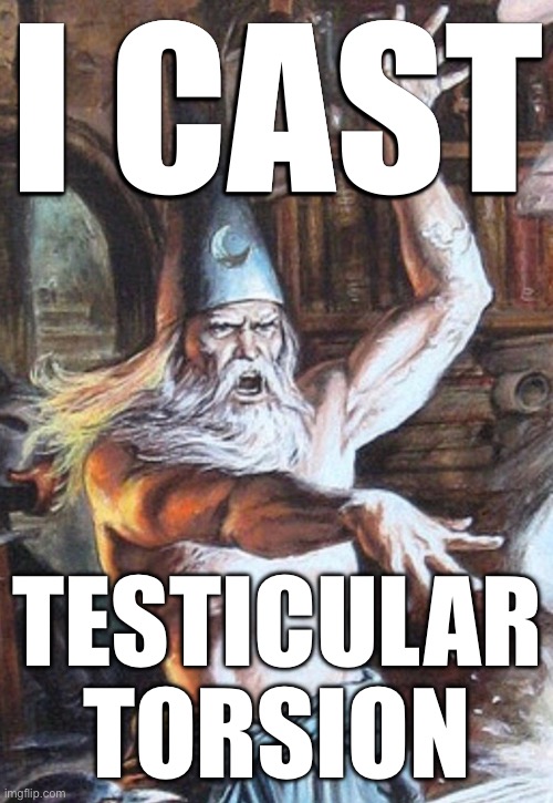 I CAST | I CAST; TESTICULAR TORSION | image tagged in i cast,msmg | made w/ Imgflip meme maker
