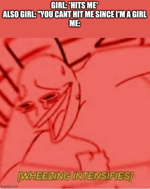 Wheeze | GIRL: *HITS ME*
ALSO GIRL: "YOU CANT HIT ME SINCE I'M A GIRL
ME: | image tagged in wheeze | made w/ Imgflip meme maker