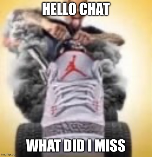 FlightReacts driving a shoe | HELLO CHAT; WHAT DID I MISS | image tagged in flightreacts driving a shoe | made w/ Imgflip meme maker