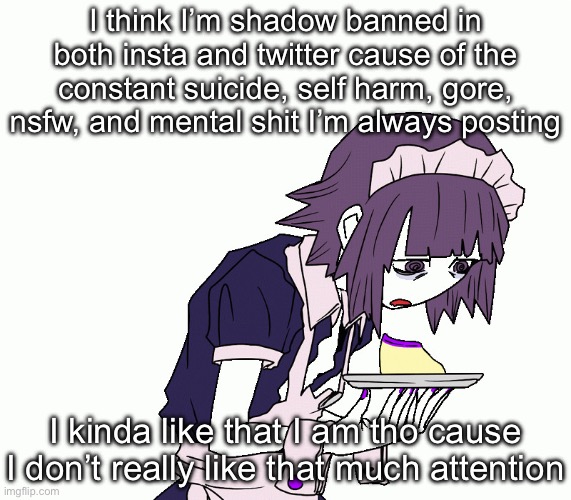 Yakui the maid | I think I’m shadow banned in both insta and twitter cause of the constant suicide, self harm, gore, nsfw, and mental shit I’m always posting; I kinda like that I am tho cause I don’t really like that much attention | image tagged in yakui the maid | made w/ Imgflip meme maker
