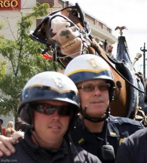 goofy ahh horse | made w/ Imgflip meme maker