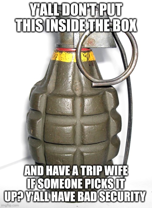 grenade | Y'ALL DON'T PUT THIS INSIDE THE BOX AND HAVE A TRIP WIFE IF SOMEONE PICKS IT UP? Y'ALL HAVE BAD SECURITY | image tagged in grenade | made w/ Imgflip meme maker