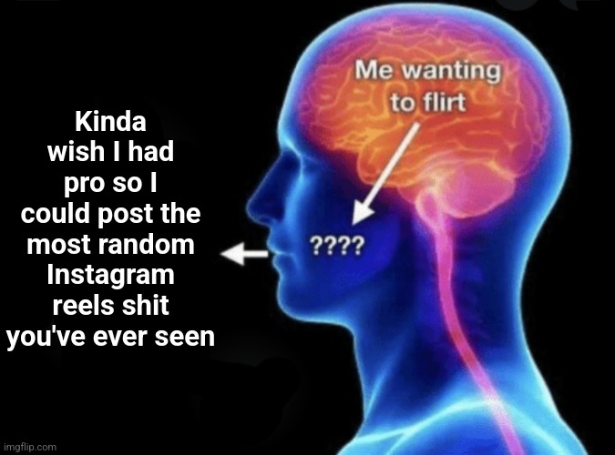 Me wanting to flirt | Kinda wish I had pro so I could post the most random Instagram reels shit you've ever seen | image tagged in me wanting to flirt | made w/ Imgflip meme maker