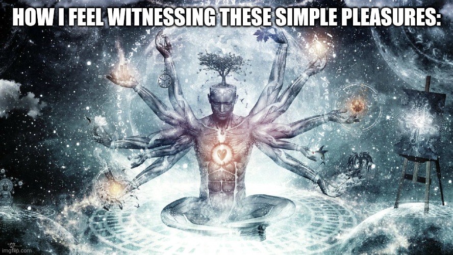 Ascendant human | HOW I FEEL WITNESSING THESE SIMPLE PLEASURES: | image tagged in ascendant human | made w/ Imgflip meme maker