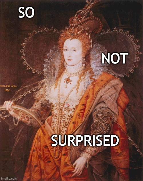 *hauteur intensifies* | SO; NOT; SURPRISED | image tagged in queen elizabeth i,not surprised,not amused | made w/ Imgflip meme maker