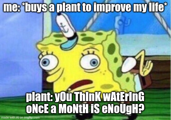 Mocking Spongebob | me: *buys a plant to improve my life*; plant: yOu ThInK wAtErInG oNcE a MoNtH iS eNoUgH? | image tagged in memes,mocking spongebob | made w/ Imgflip meme maker