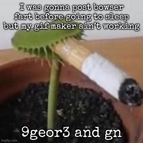 Gn chat | I was gonna post bowser fart before going to sleep but my gif maker ain’t working; 9geor3 and gn | image tagged in plant weeds,there is a very obvious j here | made w/ Imgflip meme maker
