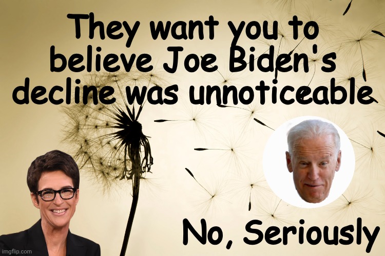 They pretended not to notice | image tagged in joe biden,mind blown,dementia | made w/ Imgflip meme maker