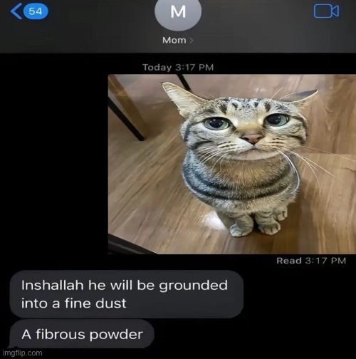 Anyways, back to shitposting | made w/ Imgflip meme maker