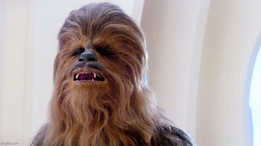 Chewbacca | image tagged in chewbacca | made w/ Imgflip meme maker