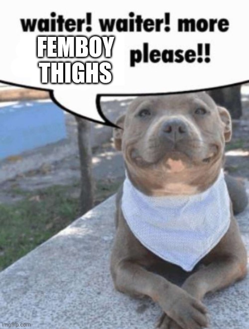 waiter! pit bull | FEMBOY THIGHS | image tagged in waiter pit bull | made w/ Imgflip meme maker
