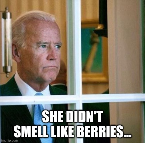 Sad Joe Biden | SHE DIDN'T SMELL LIKE BERRIES... | image tagged in sad joe biden | made w/ Imgflip meme maker