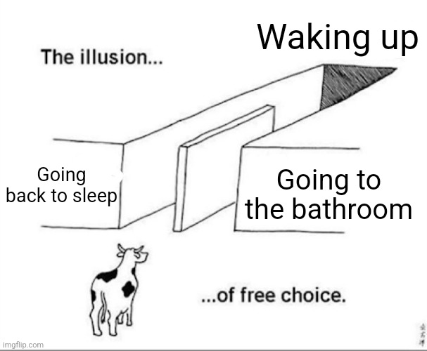 Illusion of free choice | Waking up; Going back to sleep; Going to the bathroom | image tagged in illusion of free choice,funny,relatable,sleep,so true | made w/ Imgflip meme maker