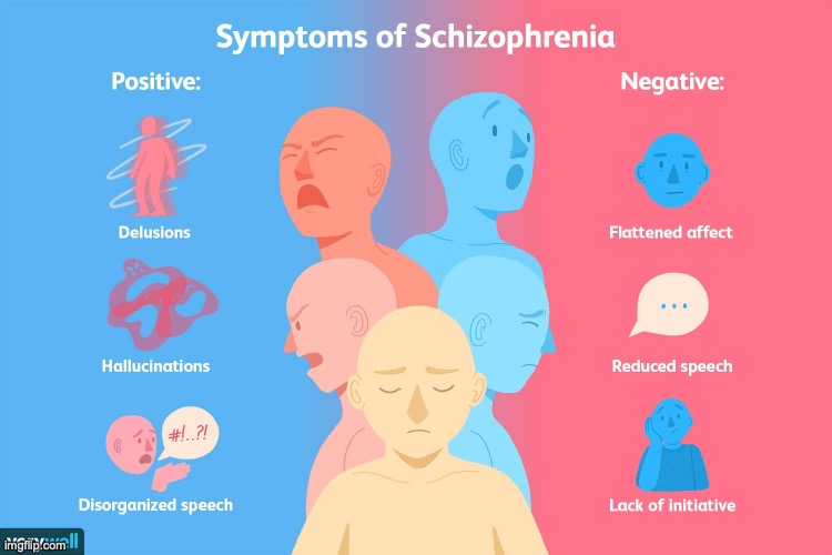 Schizophrenia symptoms | image tagged in schizophrenia symptoms | made w/ Imgflip meme maker
